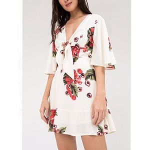 NWT Farm Rio witchy eyes print dress